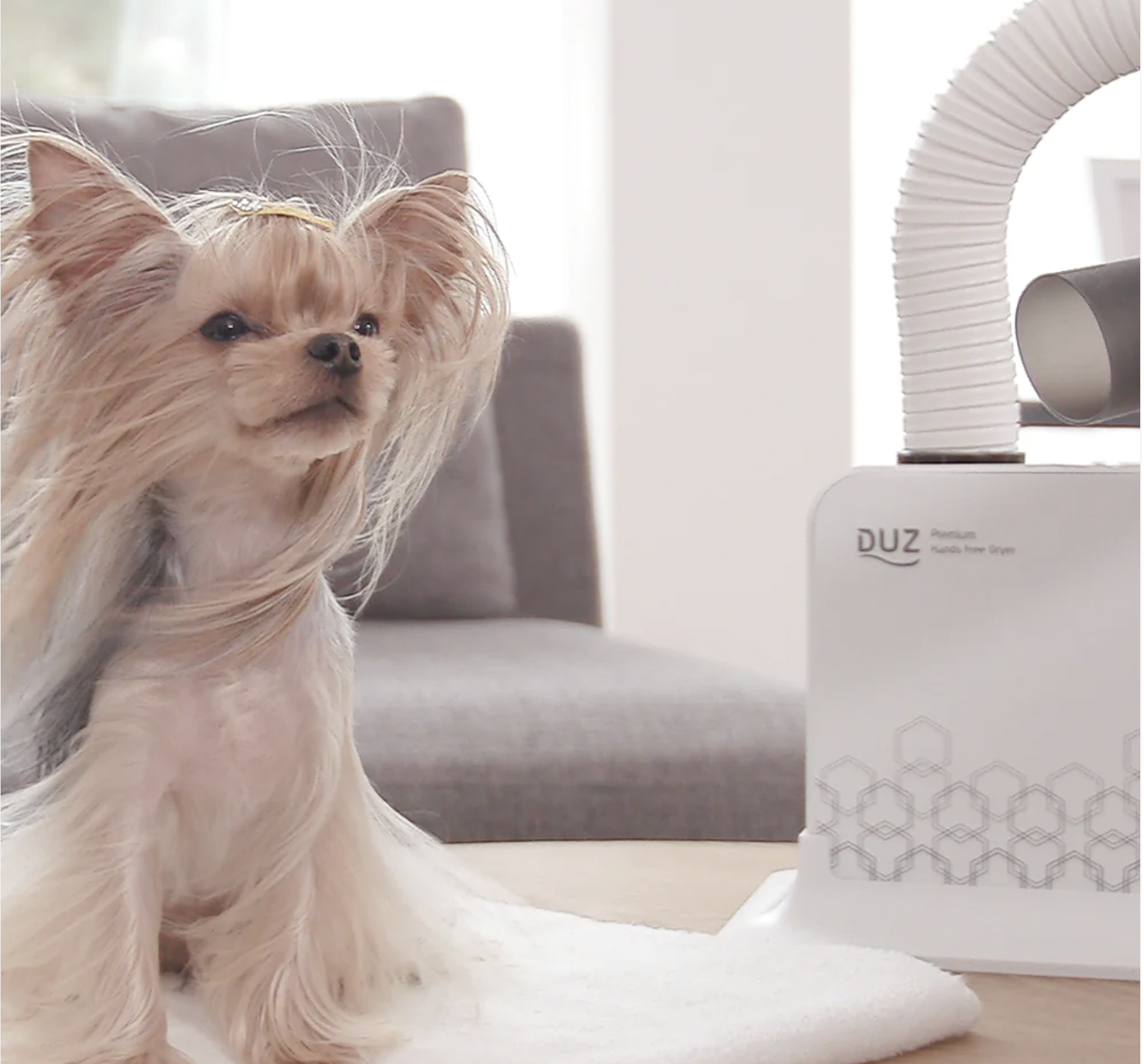 Duz V2 Hands-Free Pet Grooming Dryer – LuxePET